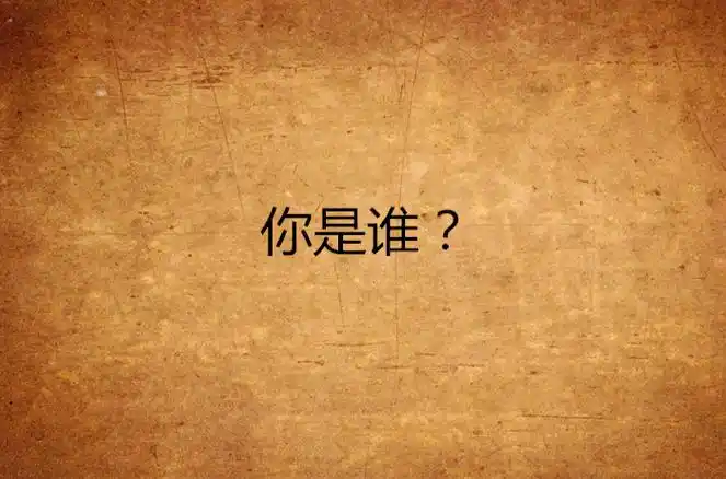你是谁?