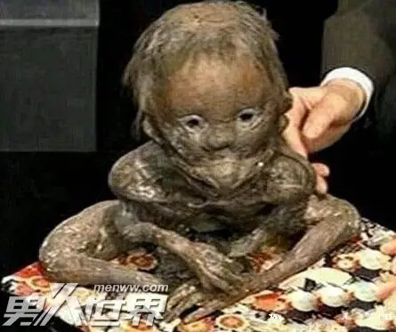 水猴子吃人图片