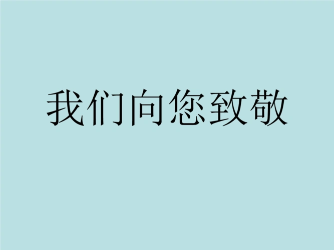 《我们向您致敬.ppt》