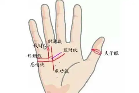 女人嫁得好的手相分析