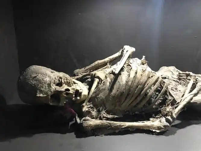 干尸博物馆