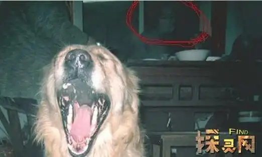 怎么知道有鬼跟着自己鬼魂会跟着哪种人阴气重的人容易招鬼