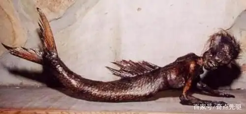 科学家曾活捉"美人鱼"?现实中的半人半鱼可能并不如想象中美好