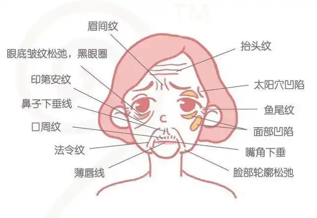 女人脸上不想有皱纹就得这么做