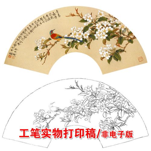 俞致贞高清工笔画扇面凤桐花鸟白描底稿临摹透稿勾线实物打印x200