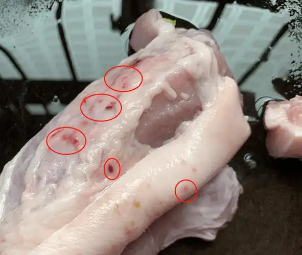 桂林网友又买到这样的猪肉,还能吃吗?_表皮_恭城_食用