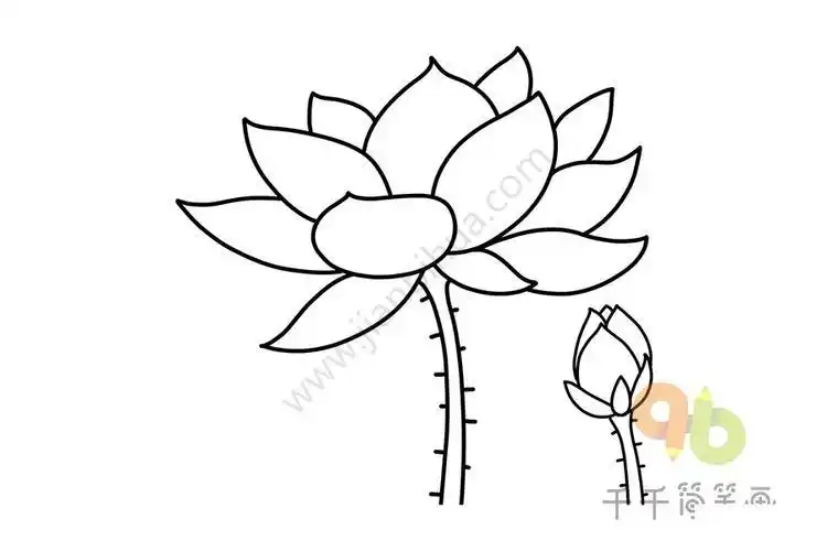 简笔画图片植物简教程植物花朵简笔画荷花简笔画画法荷花简笔画怎么画