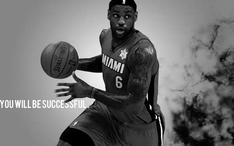 nba2013热火队夺冠宽屏桌面壁纸