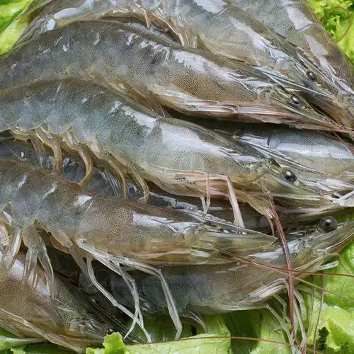 『鲜百汇』夏日冰爽低价来袭 活动日期:8月3日—8月6日 - 美篇