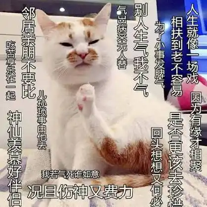 热门表情包原图精选-2017/08/19_斗图表情