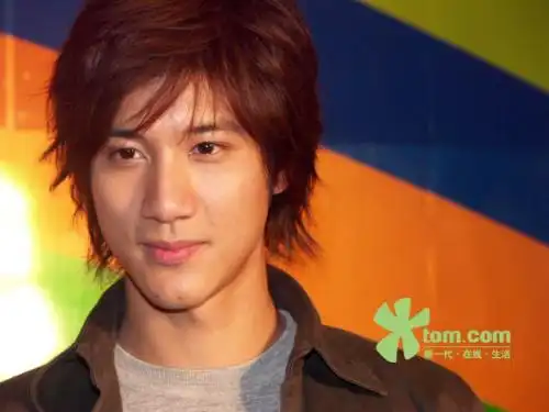 王力宏 和吴尊 谁更帅