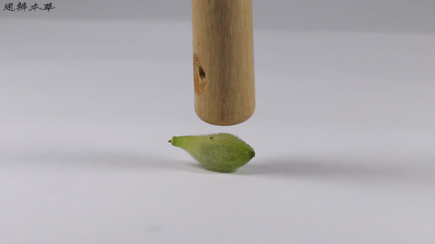 900_506gif 动态图 动图