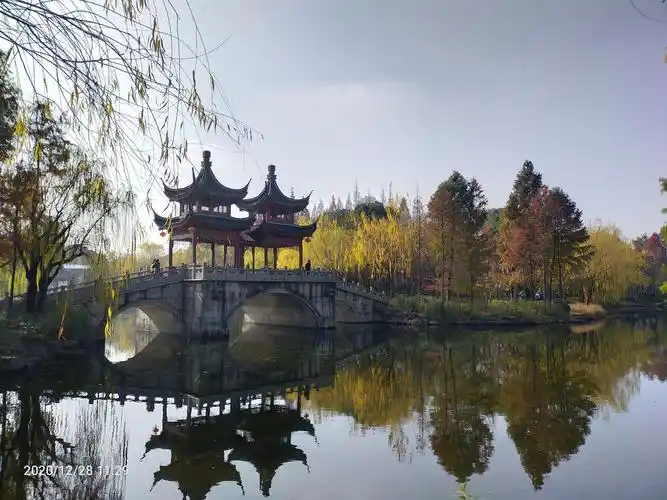 上海奉贤古华公园(2020.12.28)