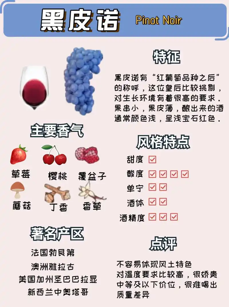 快来抄作业6015一图秒懂世界常见葡萄酒品种 大家好~葡萄99品种