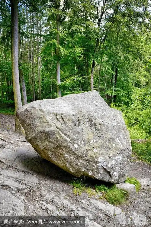 夏天绿色森林里的大石头