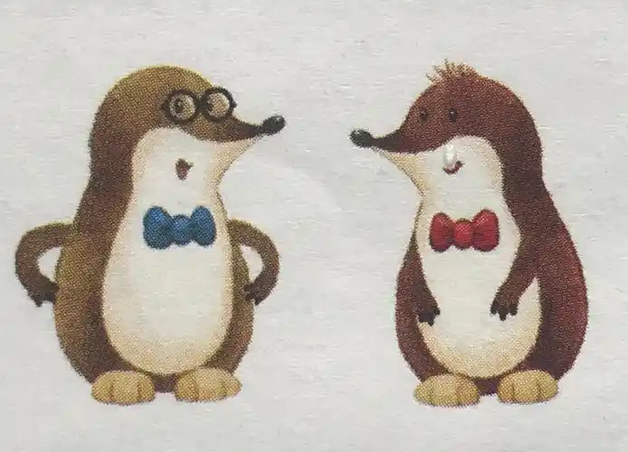 全景数学活动三:鼹鼠兄弟