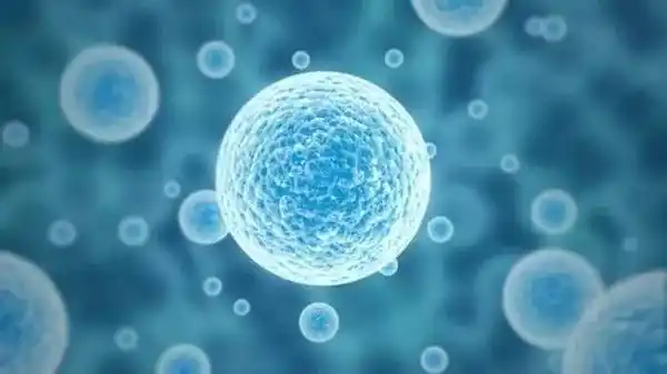 霍金人类2045永生不死干细胞治愈衰老拯救生命