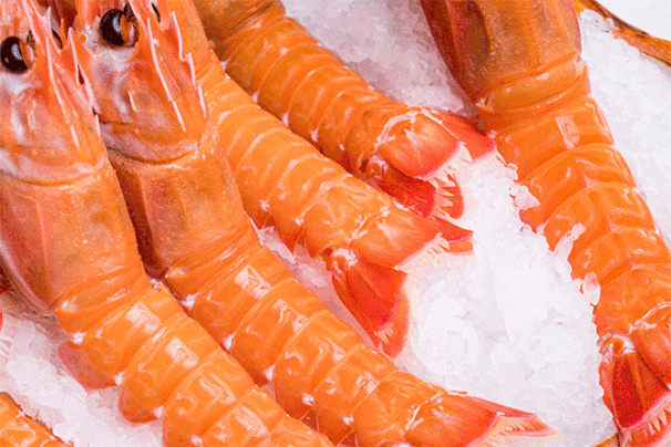 五角场地标级日料放题松叶蟹鳌虾贵价刺身畅吃