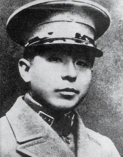 以东北军的实力,张学良若抵抗能打赢日军吗?答案在一组数据里