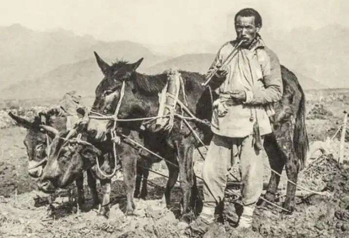 农民,他有两头驴和一头牛,在当时应该算是有钱的人.