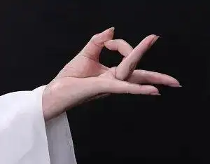 梅馆云端展手舞艺术梅派兰花指摄影展