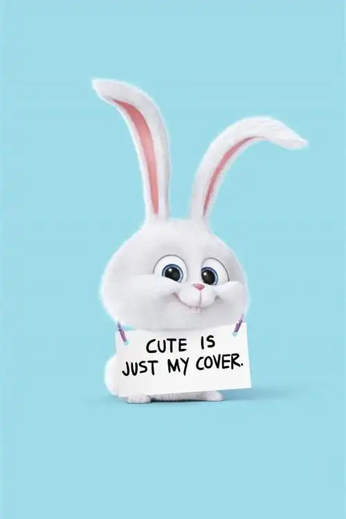 动漫电影爱宠大机密里的小兔子,高清图片,手机锁屏桌面-壁纸族