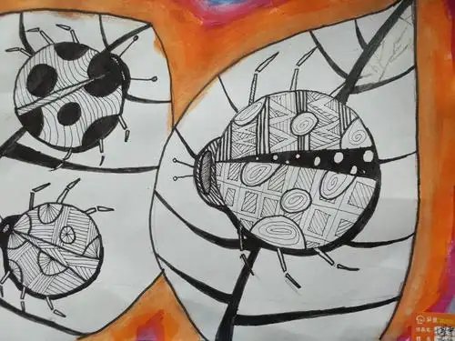 七星瓢虫是农民伯伯的小帮手哟