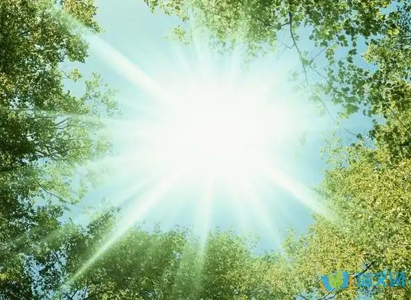 描写夏天太阳的作文