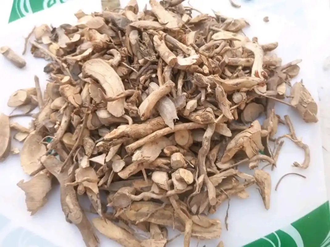 中药古今研究:白马骨