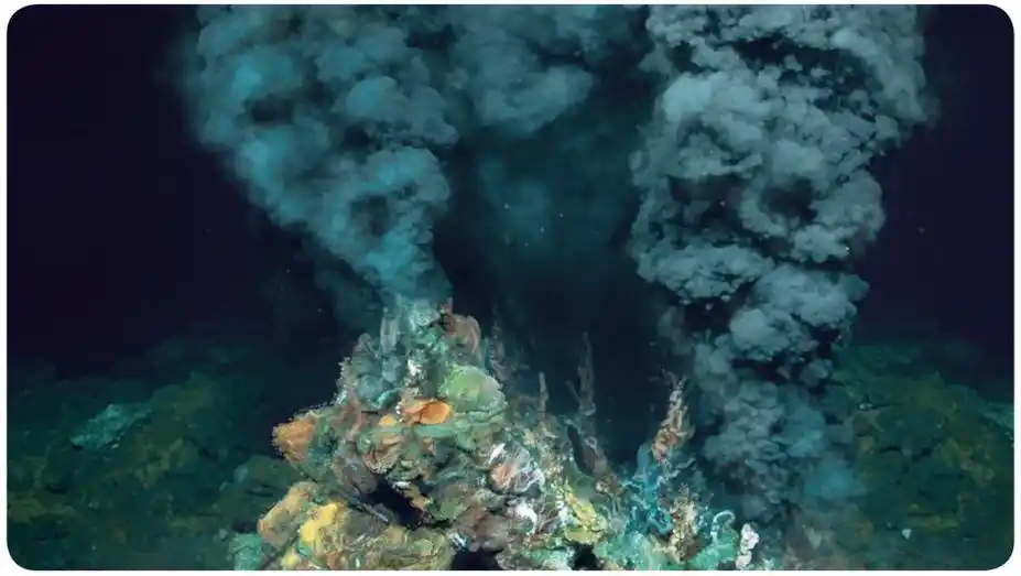 生长的海底金属