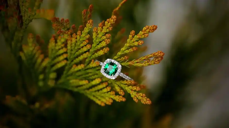 首页 其它 祖母绿戒指,树枝 壁纸 当前尺寸:3840x2160,你可以点击图片