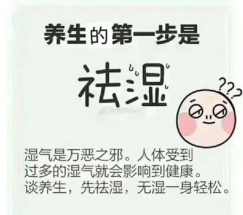 湿气太重乃万恶之源