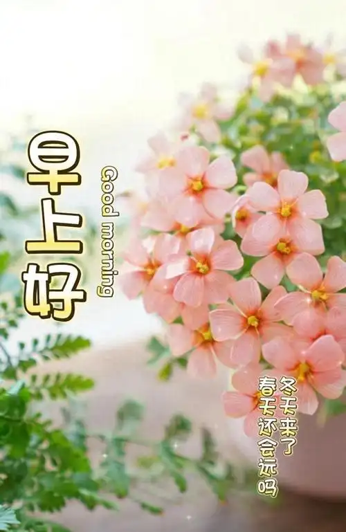 11月20日周一早安创意祝福问候语最新早安美图精选早安吉祥