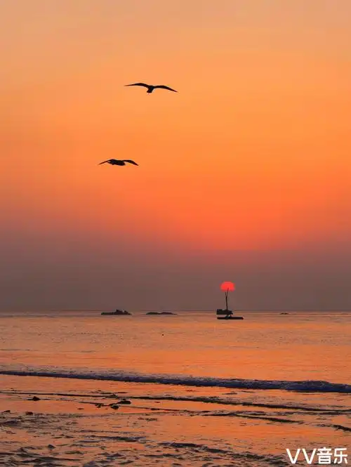 海鸥飞处彩云飞