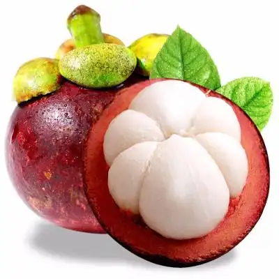 【新鲜山竹果】品牌精选大全_新鲜山竹果【品牌推荐|图片|价格】-苏宁