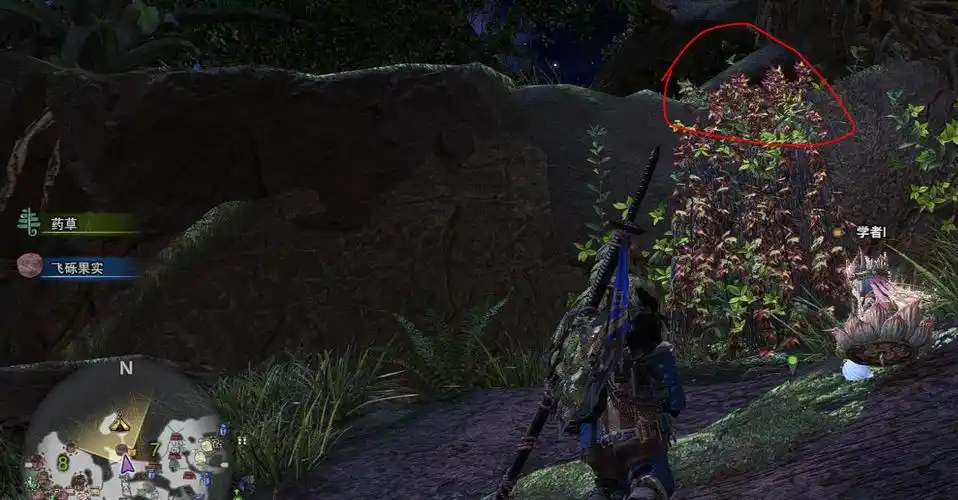 怪物猎人世界古代树森林营地找怪物