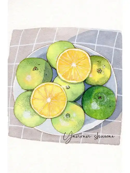 no40钢笔淡彩静物橘子附线稿