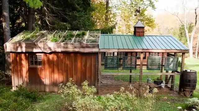 20款庭院鸡舍设计,实用与美观同在!生机盎然_空间_家禽_活动