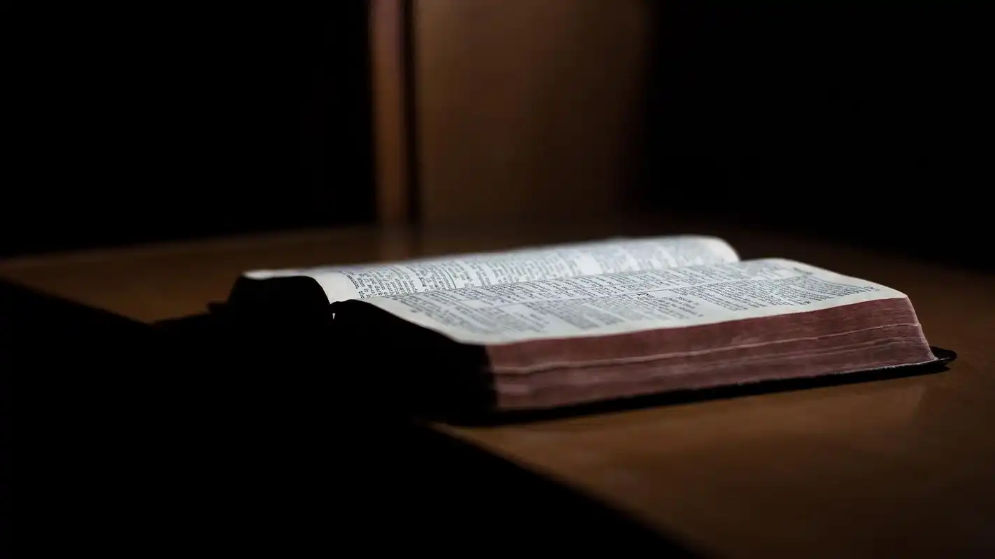 翻开的书本唯美静物写真高清宽屏桌面壁纸