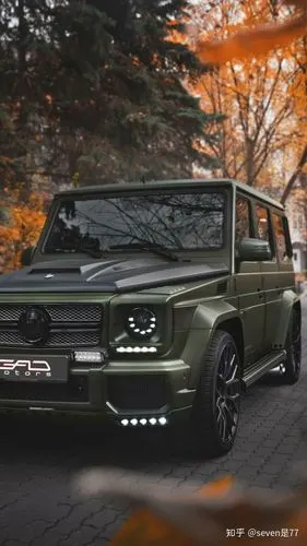 高清奔驰大g走一波.喜欢的带走.