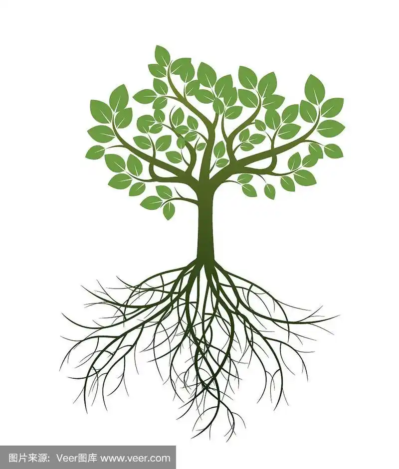 绿色的树和根.矢量插图.