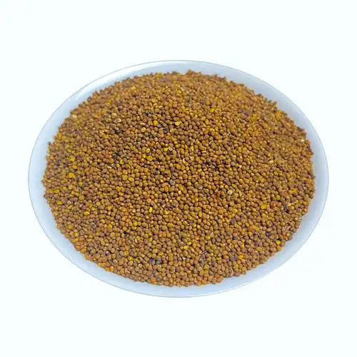 菟丝子深山野生500g包邮中药材茶淫羊藿女贞粉兔其他药食同源食品