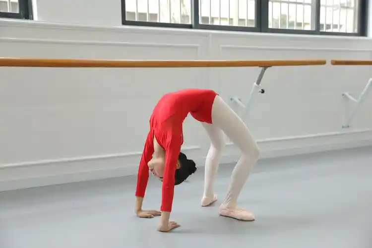 舞蹈练功服装少儿女童春秋季形体连体女孩民族考级b09 酒红色 单件衣