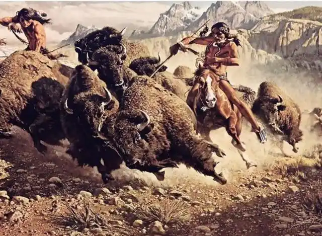 印第安人狩猎野牛场面太震撼,叹为观止