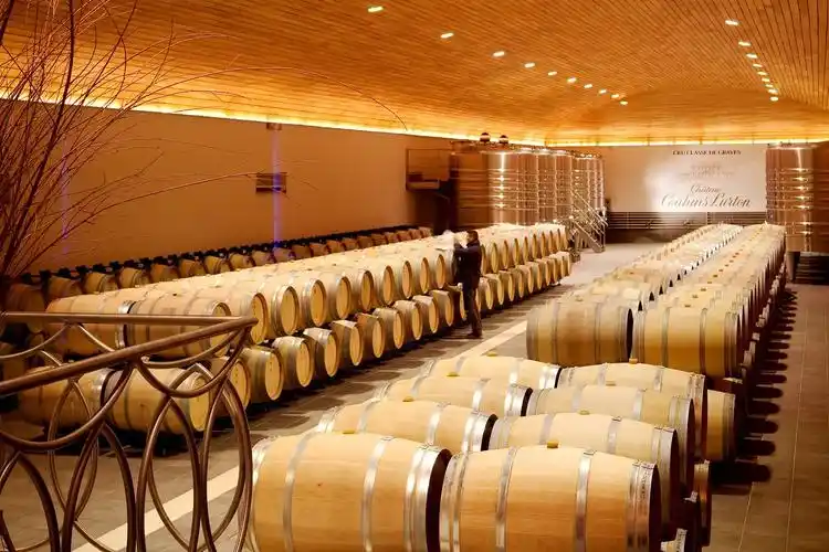 h2 >专业酒窖设计与规划 /h2>