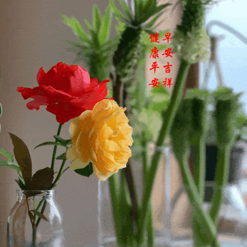 万事如意!家庭幸福!吉祥安康!开开心心度过每一天!