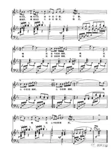 美声之林第48课《梧桐树》(演唱嘉宾:上海音乐学院 陶盈)