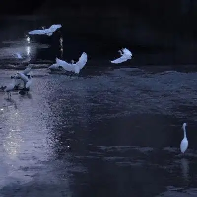 背景图,高冷 - 堆糖,美图壁纸兴趣社区