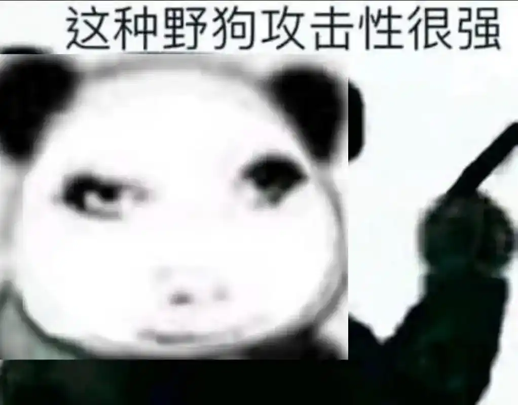 龙玉涛 #龙图  - 抖音