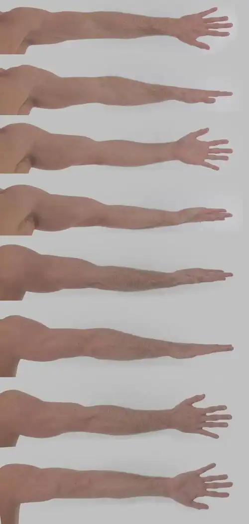 晚安你好从昵称好难起2333转采于2021-08-17 09:56:12胳膊人体教程